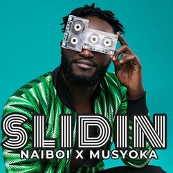 Cover of Slidin