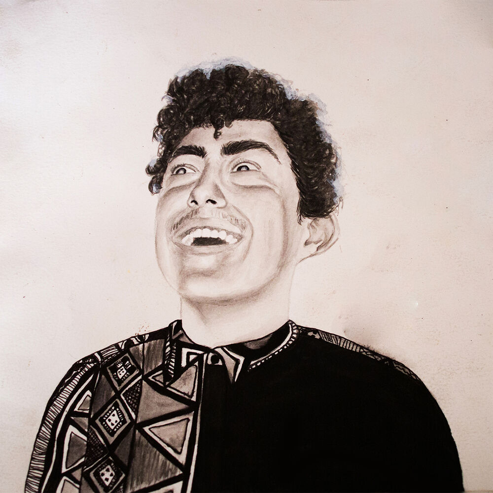 Picture of The Rise of Hobo Johnson