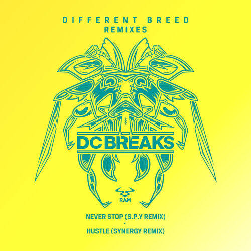 Never Stop - S.P.Y Remix by DC Breaks - 87 BPM