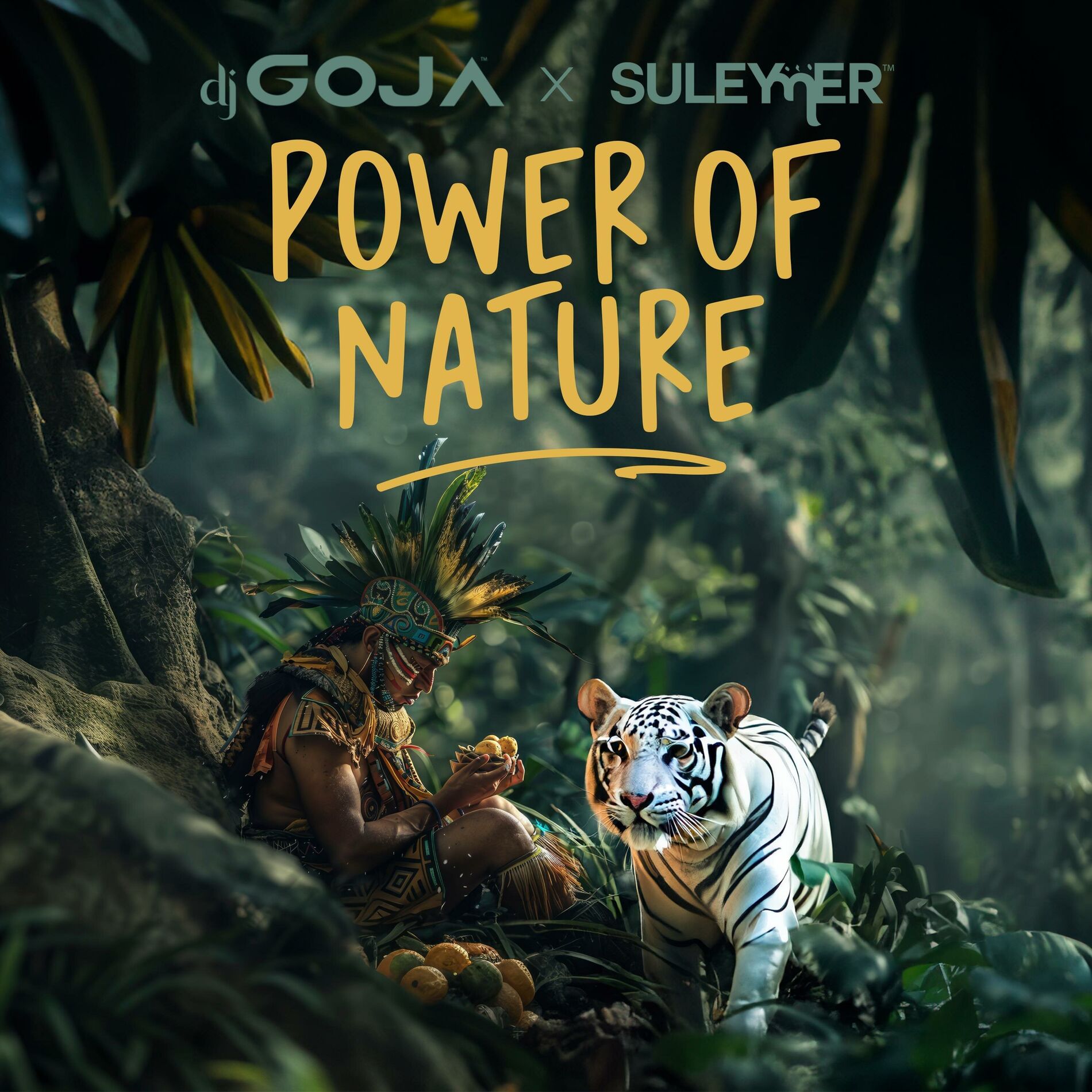 Album cover of Power Of Nature