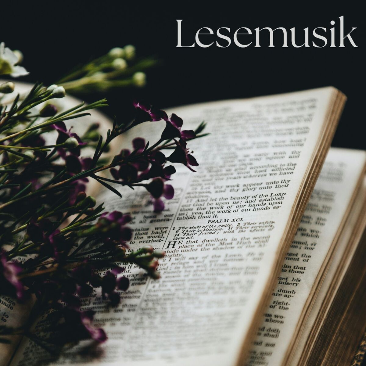 Album cover of Lesemusik