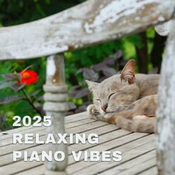 Cover of 2025 Relaxing Piano Vibes