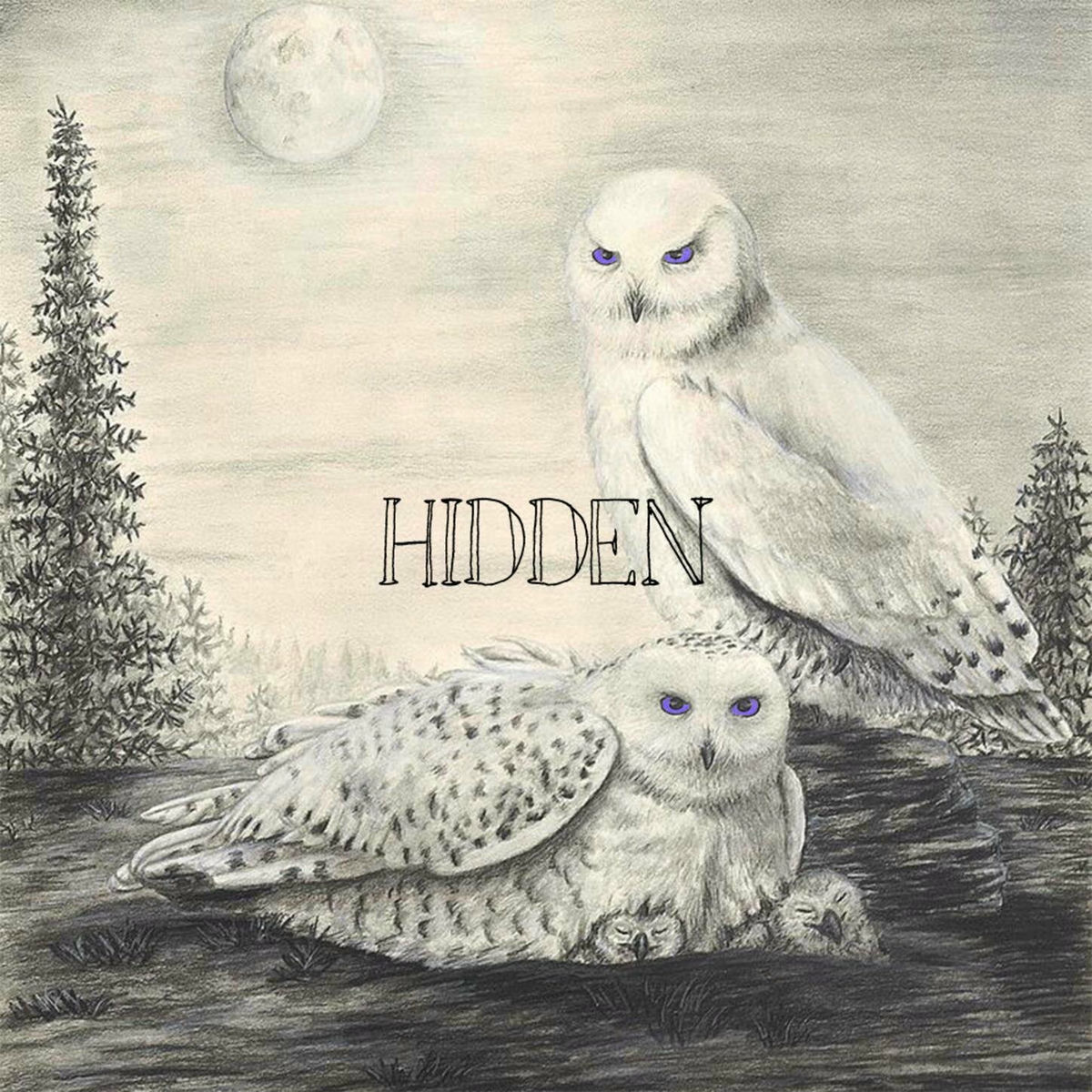 Album cover of Hidden
