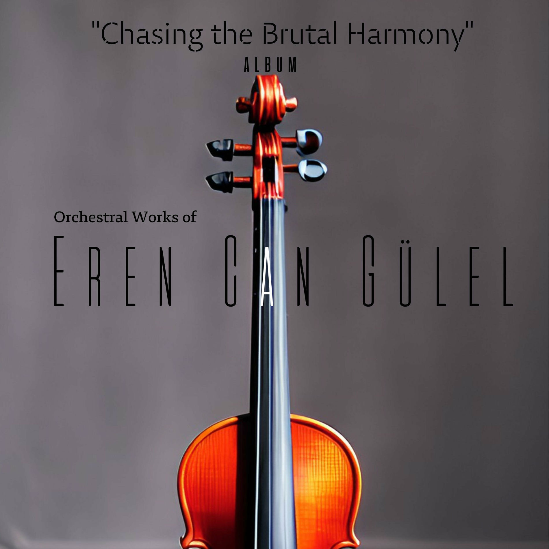 Album cover of Chasing the Brutal Harmony