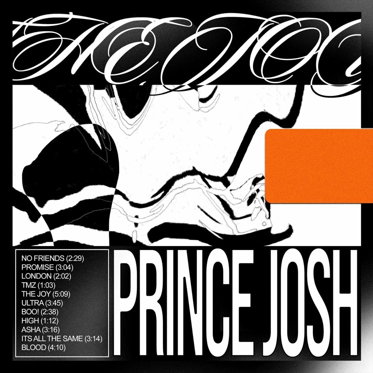 Album cover of The Joy