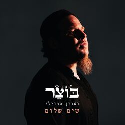 Cover of שים שלום