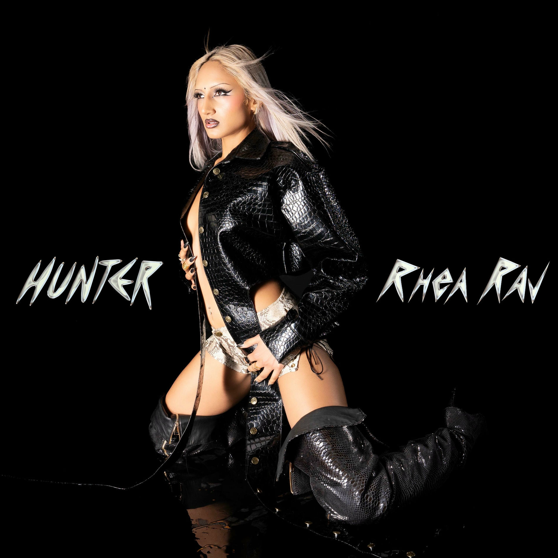 Album cover of HUNTER