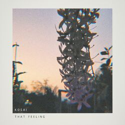Cover of That Feeling