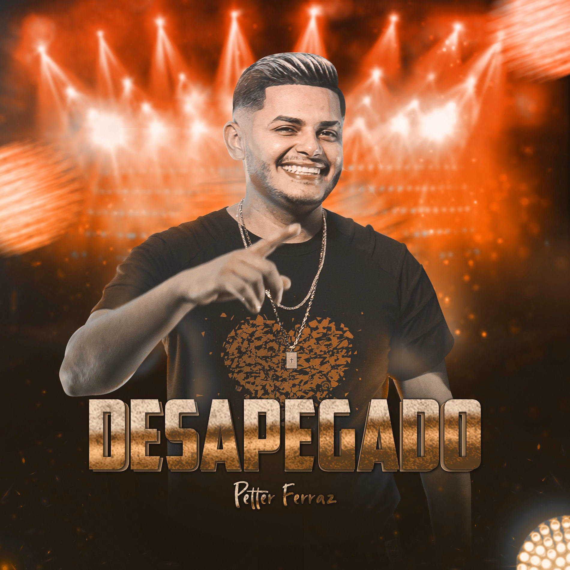 Album cover of Desapegado