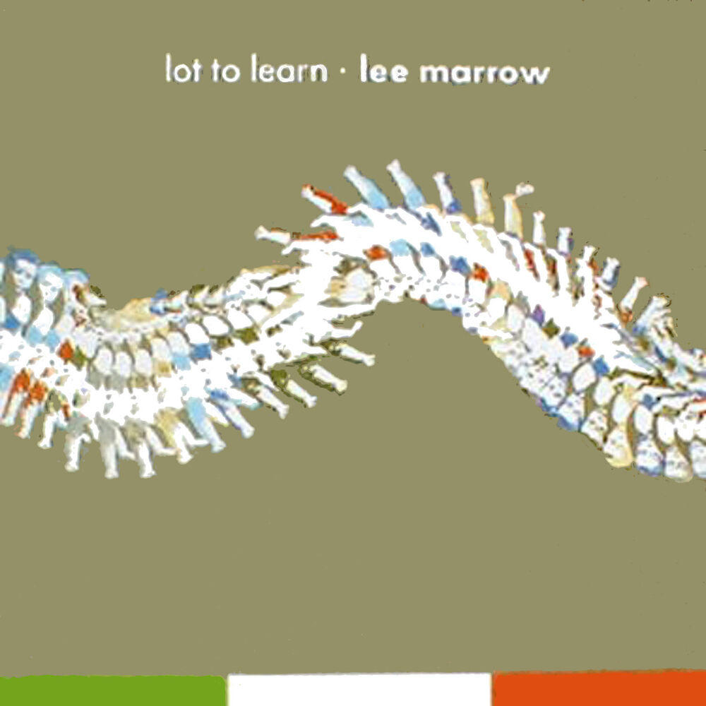 Picture of Lot To Learn