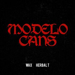 Cover of Modelo Cans