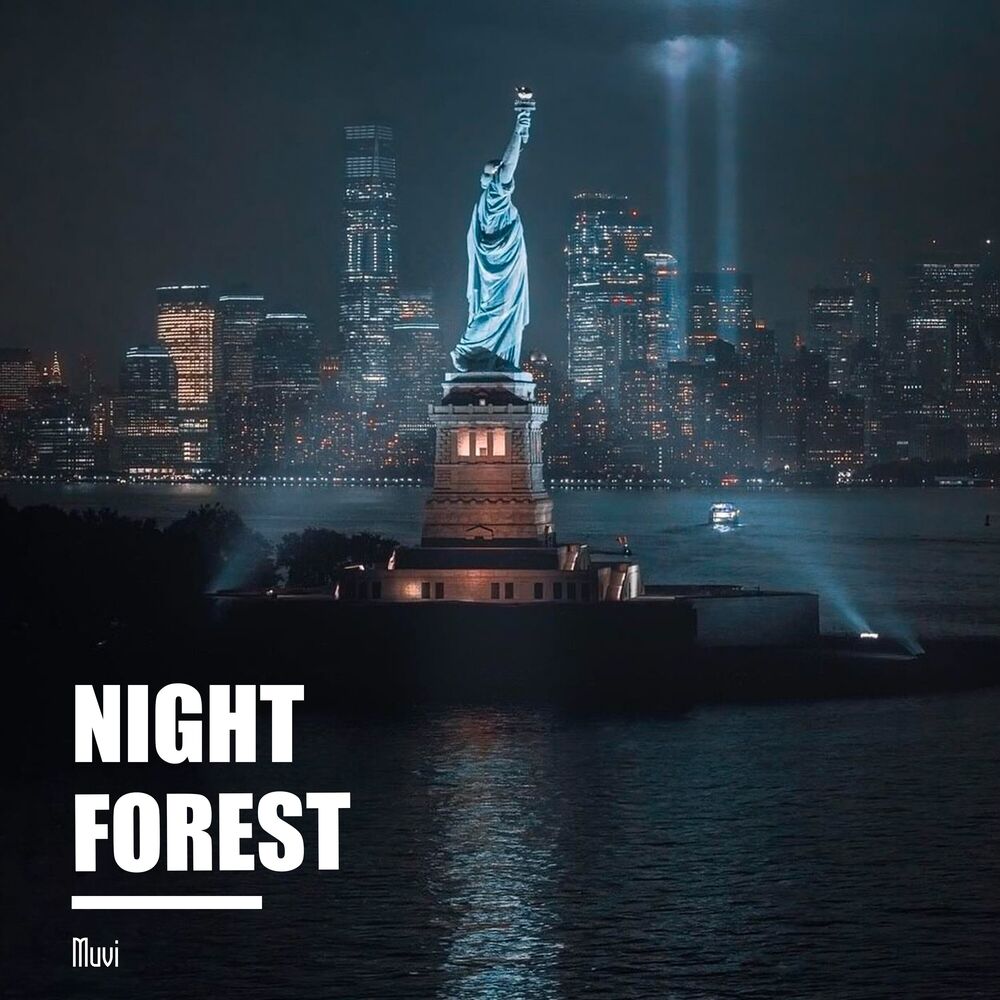 Picture of Night Forest