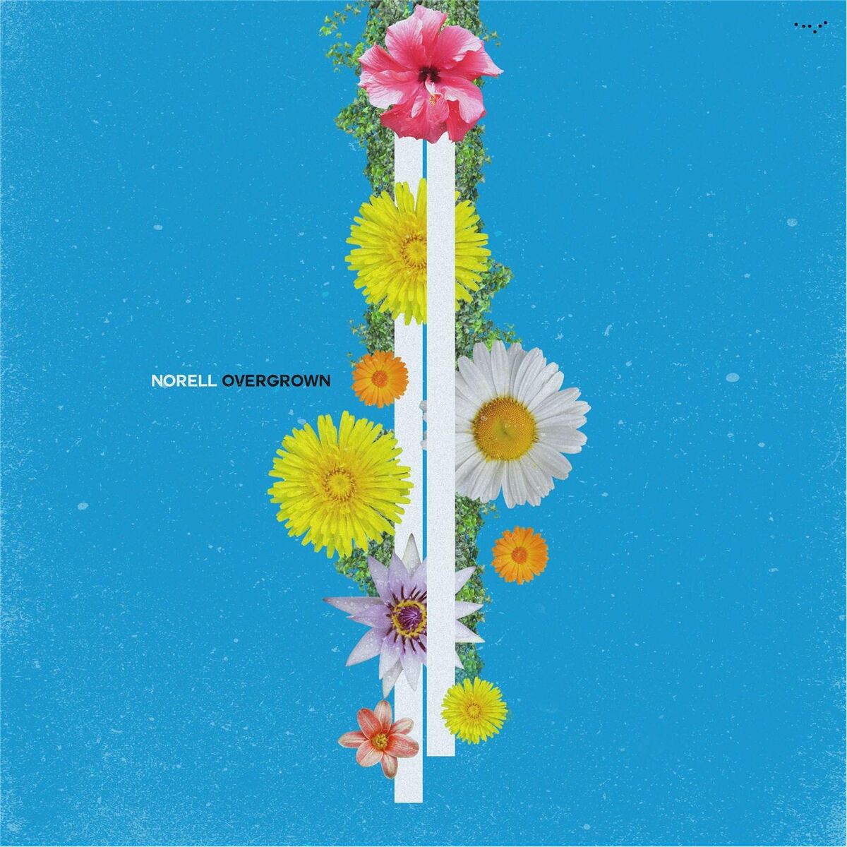 Album cover of Overgrown