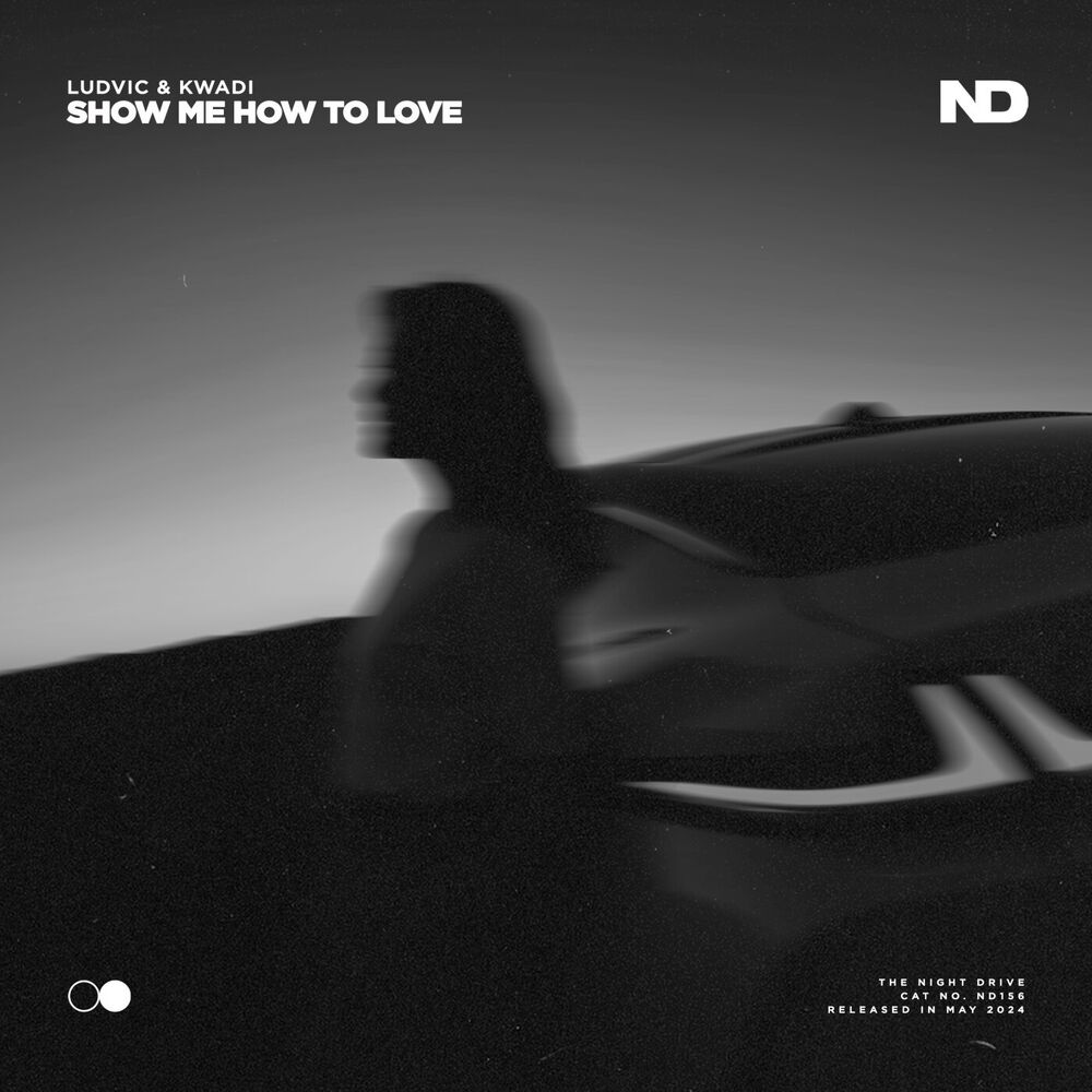 Picture of Show Me How To Love