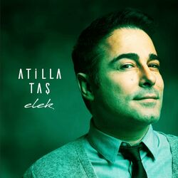 Cover of Elek
