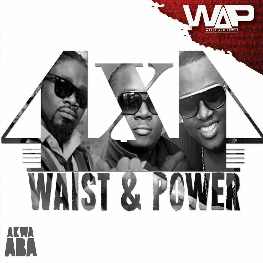 Picture of Waist & Power