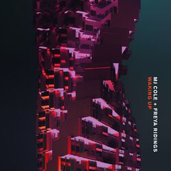 Cover of Waking Up