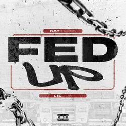 Cover of Fed Up