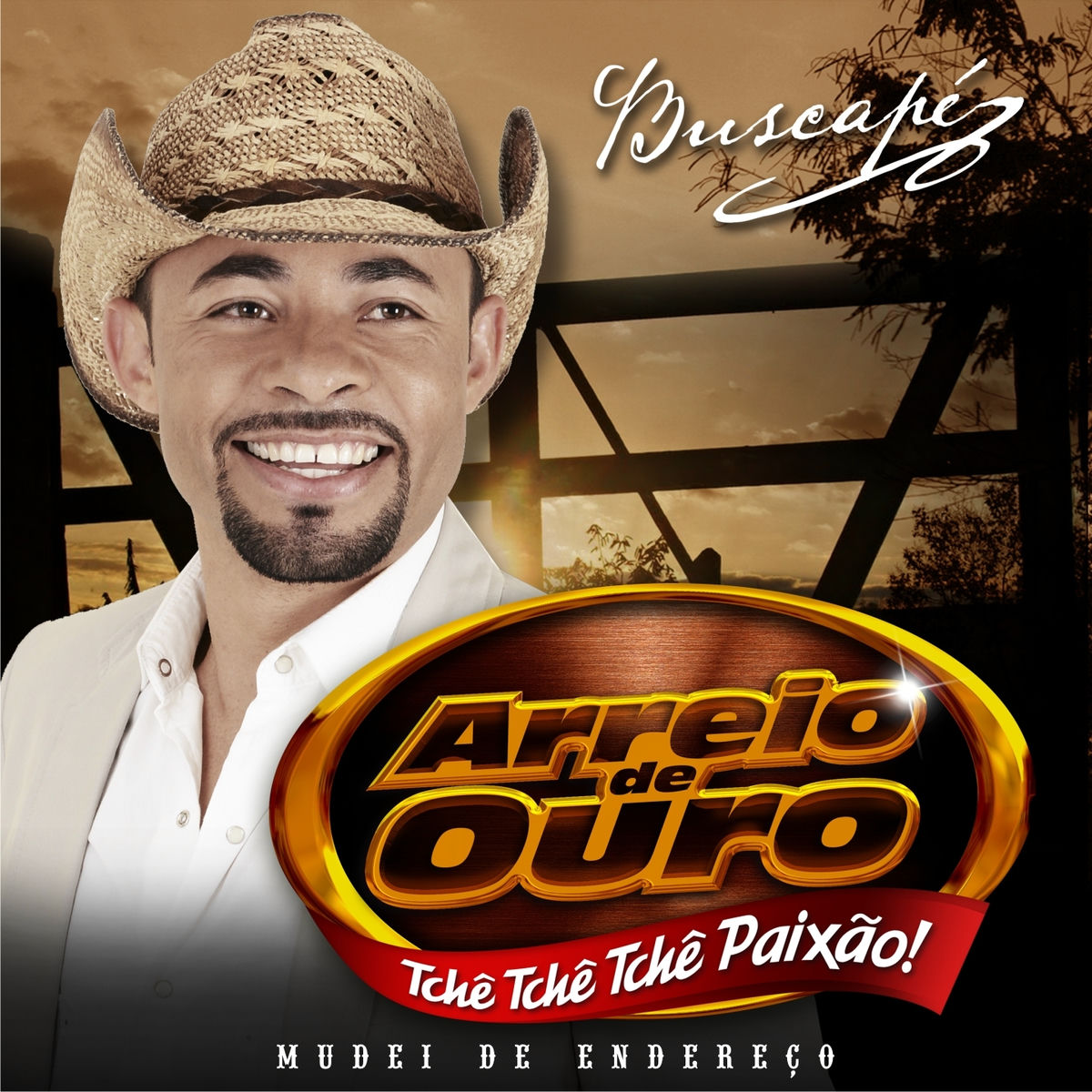 Album cover of Mudei de Endereço