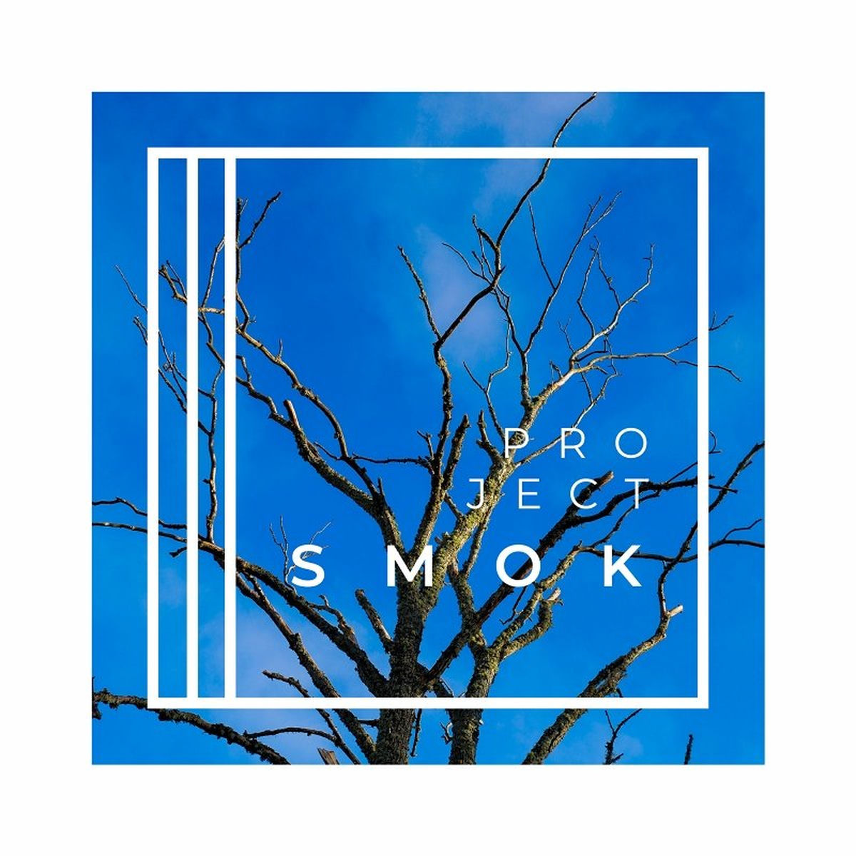 Album cover of Wee Smoky