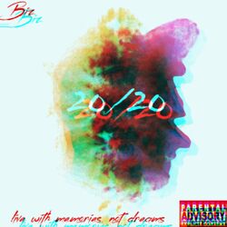 Cover of 20 / 20
