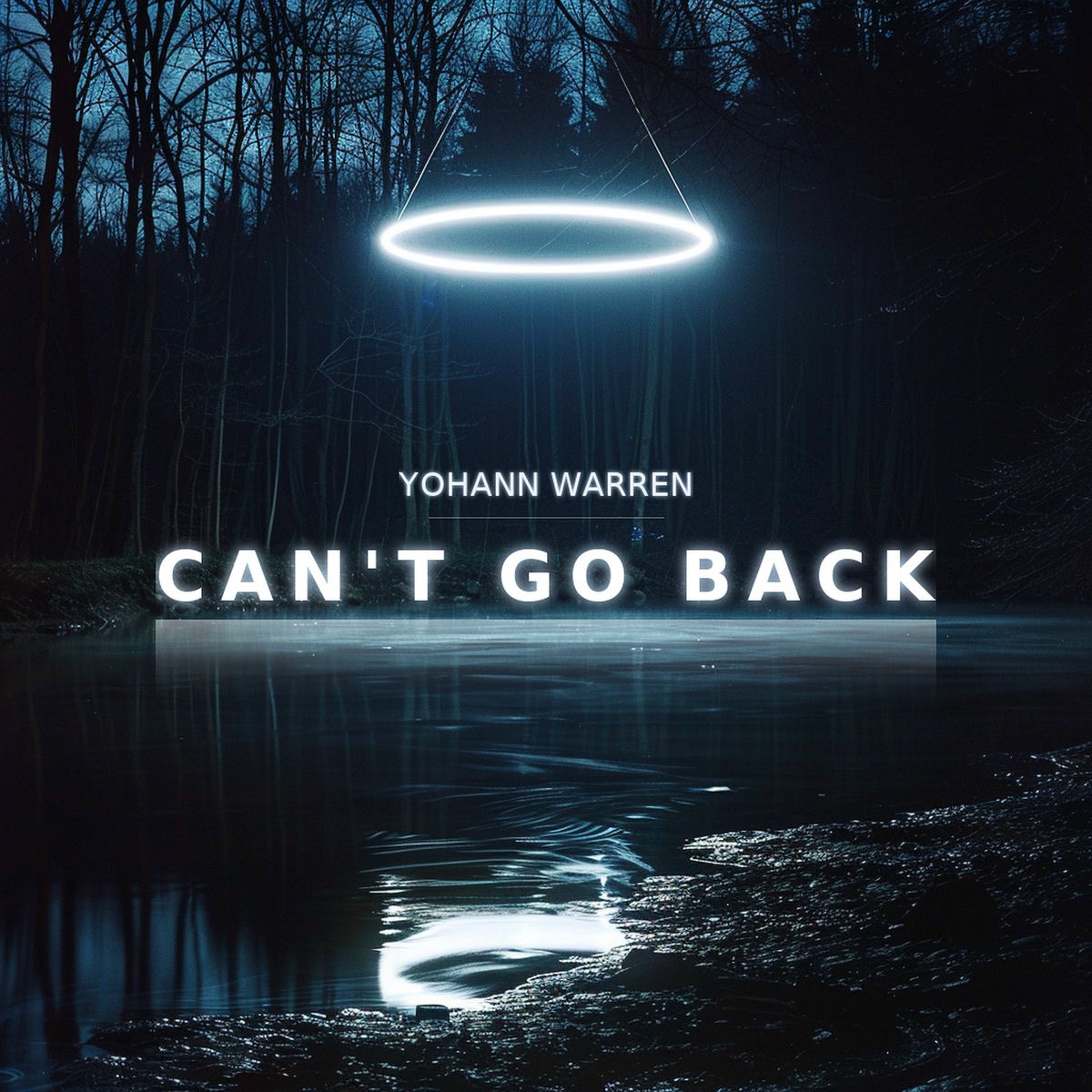 Album cover of Can't Go Back