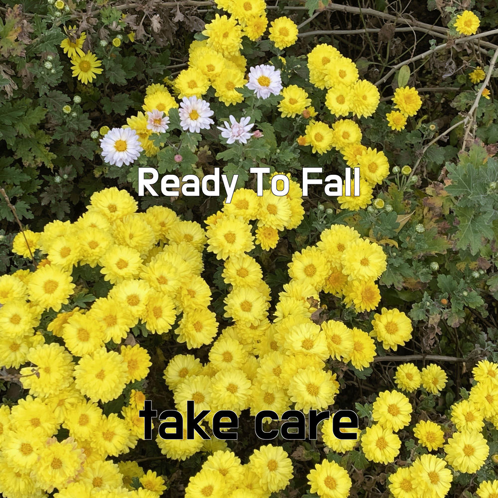 Ready To Fall cover