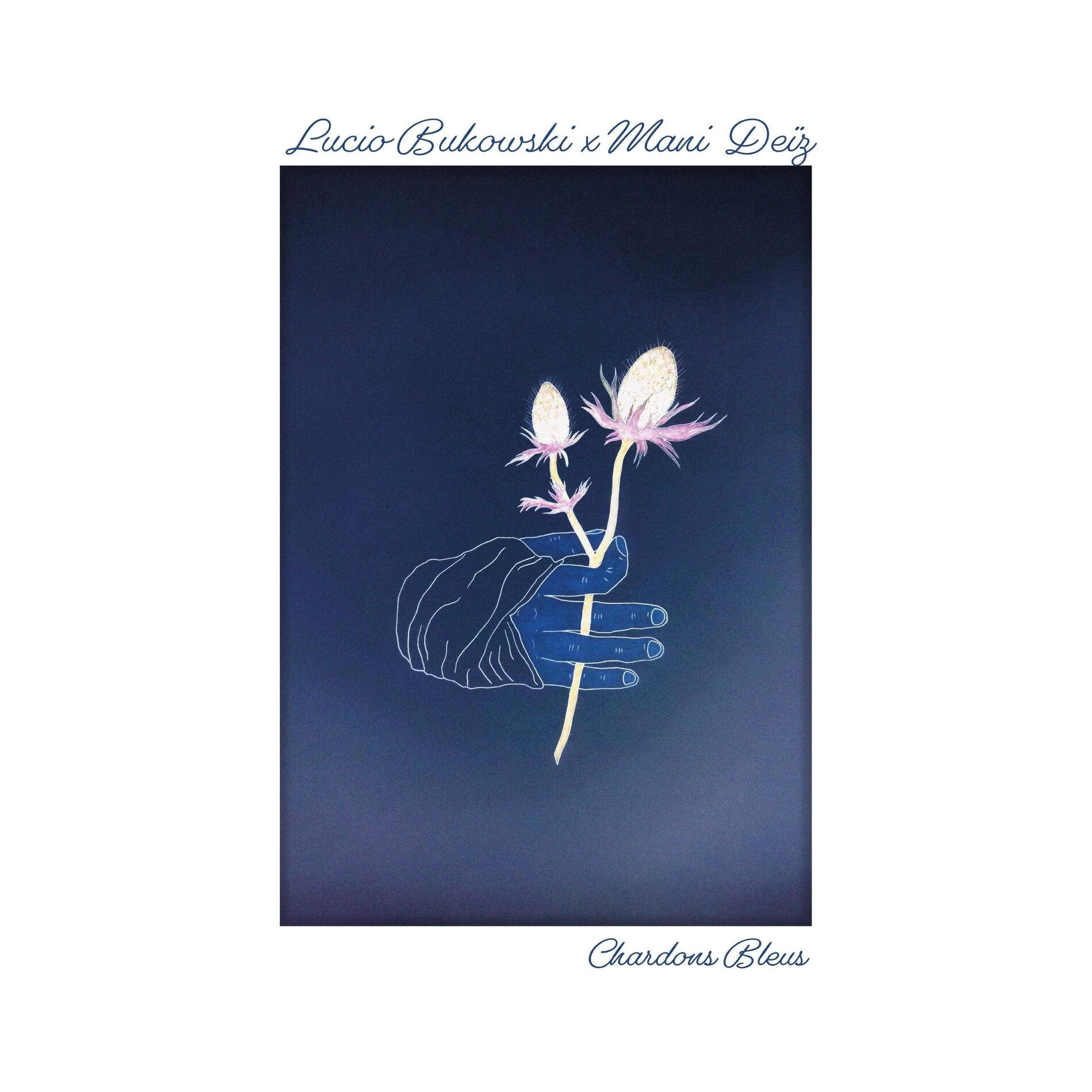 Album cover of Chardons Bleus
