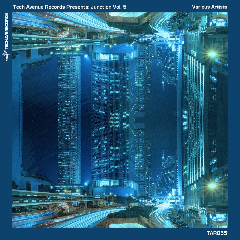 Album artwork for La Vida Alegre (festival mix) by Steve Williams