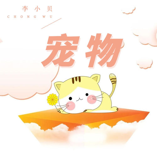 宠物