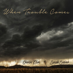 Cover of When Trouble Comes