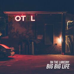 Cover of Big Big Life