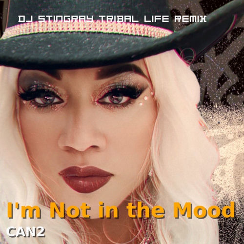 I’m not in the mood (DJ Stingray Tribal Life Remix)