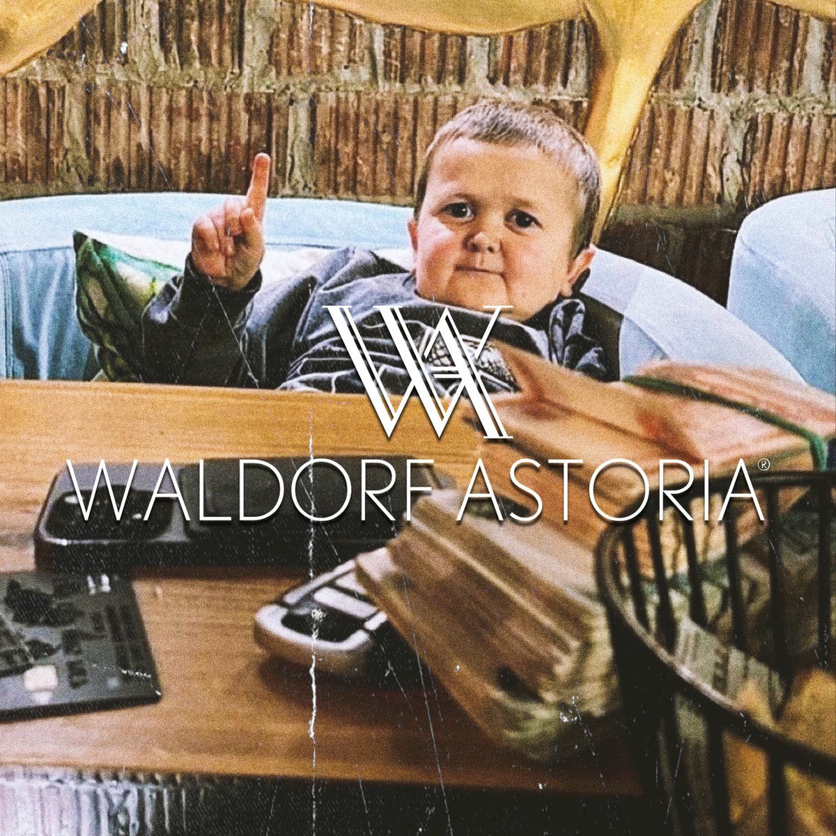 Album cover of Waldorf Astoria