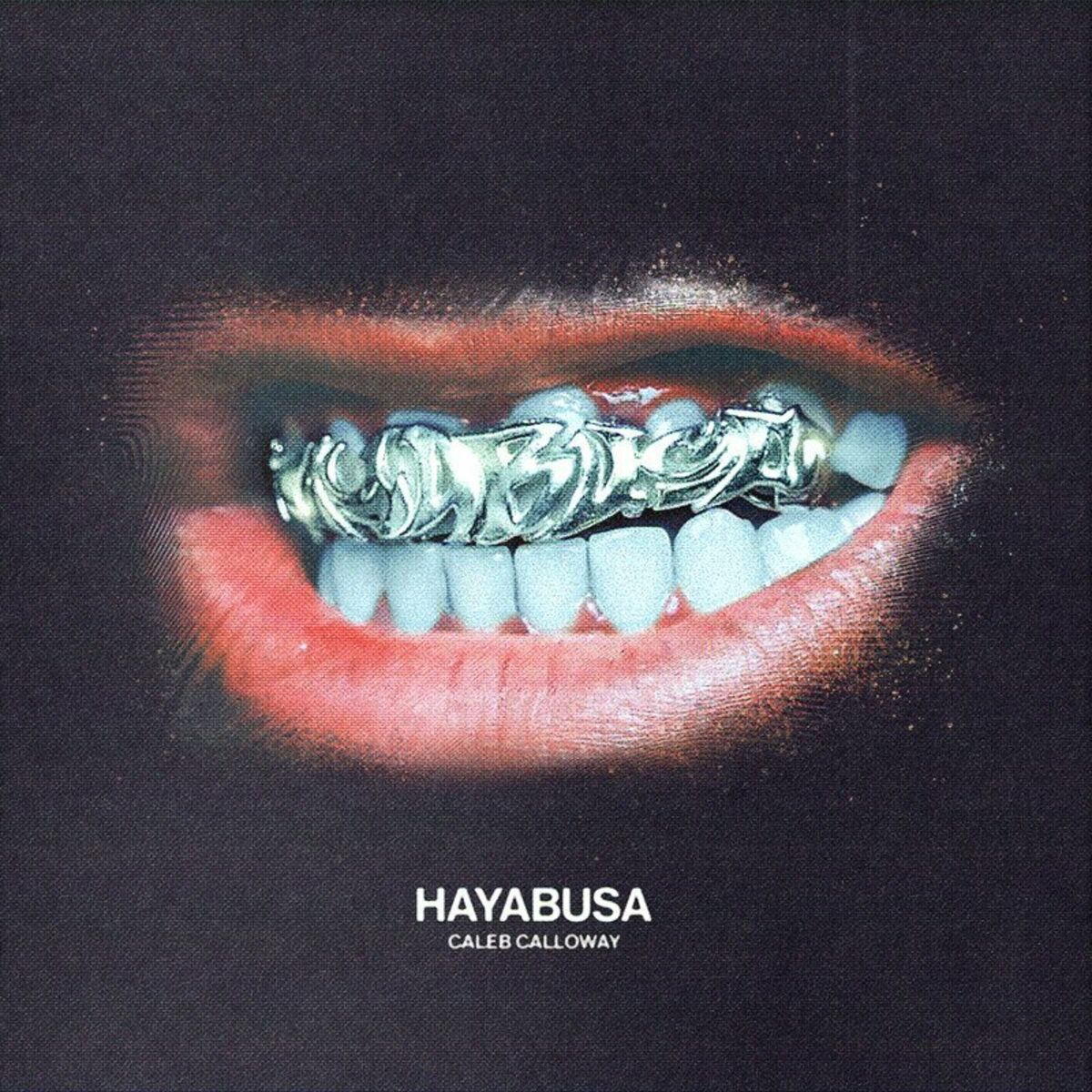 Hayabusa cover online