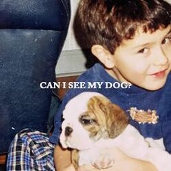 Cover of Can I See My Dog?