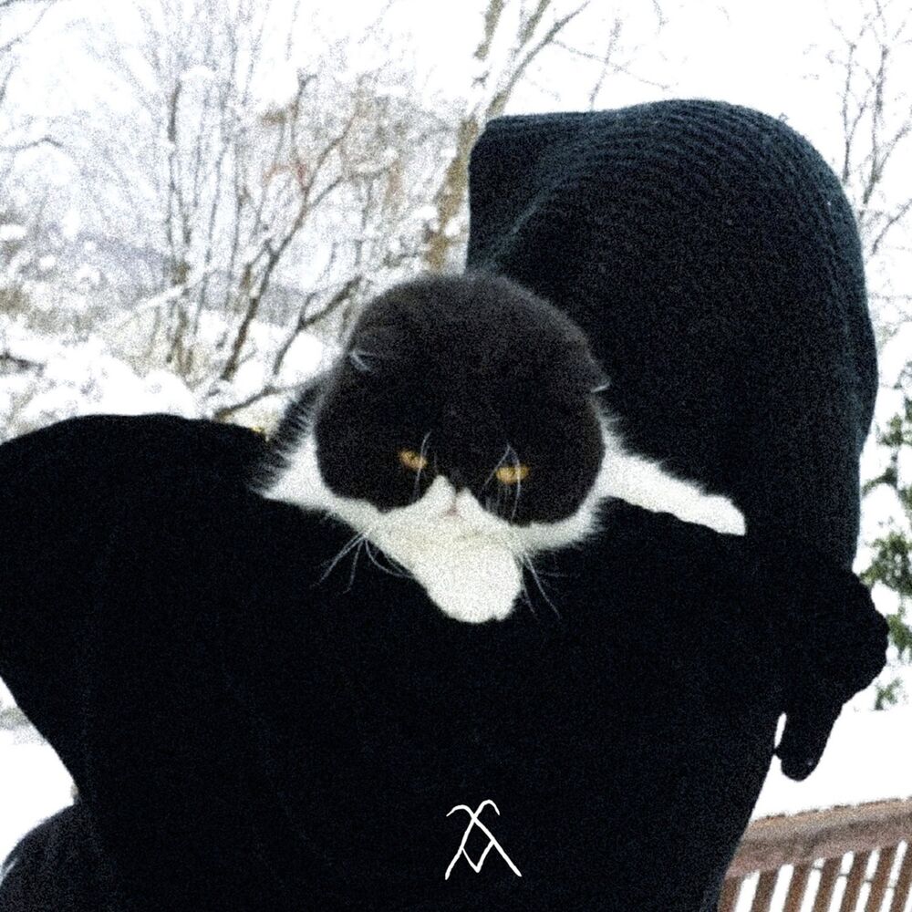 Picture of Carol of the Bells