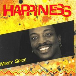Cover of Happiness
