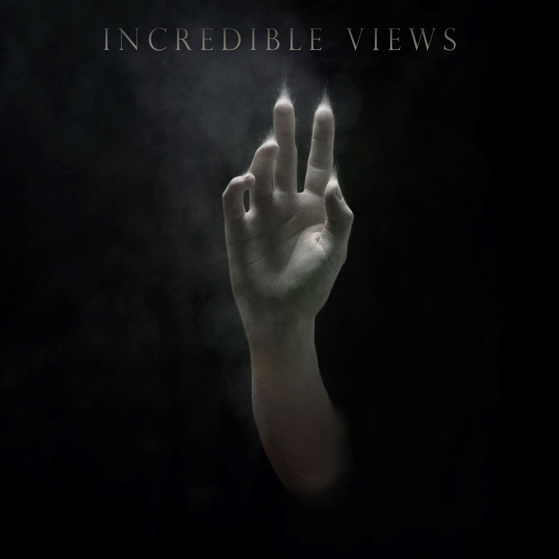 Album cover of Incredible Views