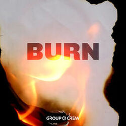 Cover of Burn