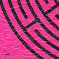 Cover of Laberinto