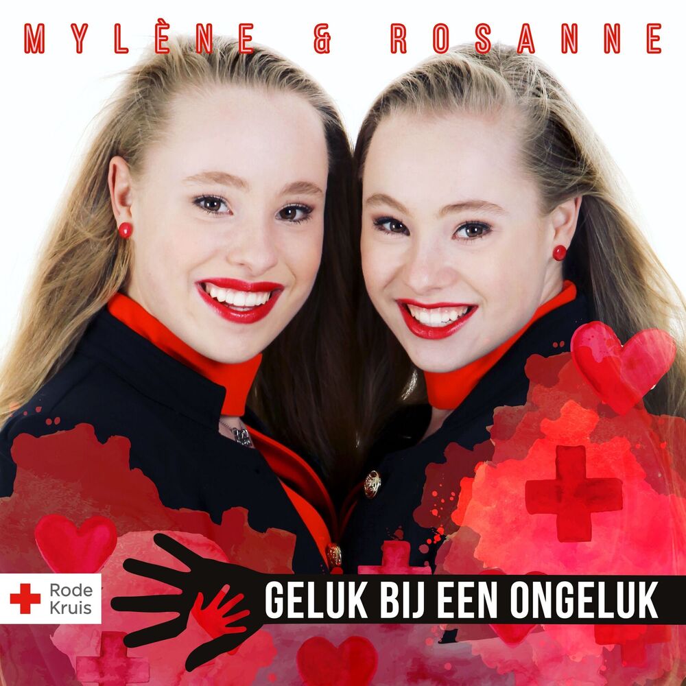Picture of Geluk Bij Een Ongeluk