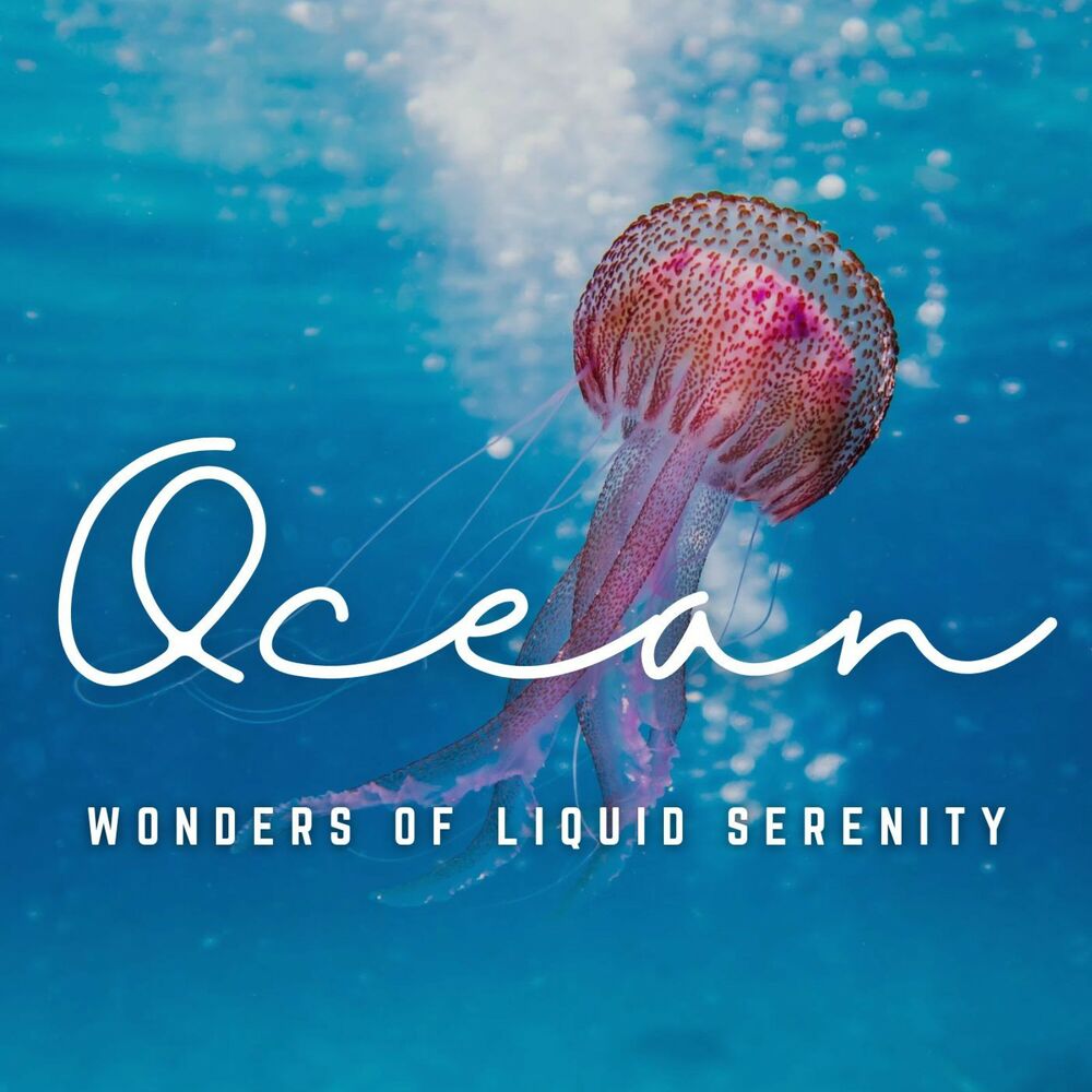 Picture of Deep Blue Horizons: Discovering Oceanic Wonders