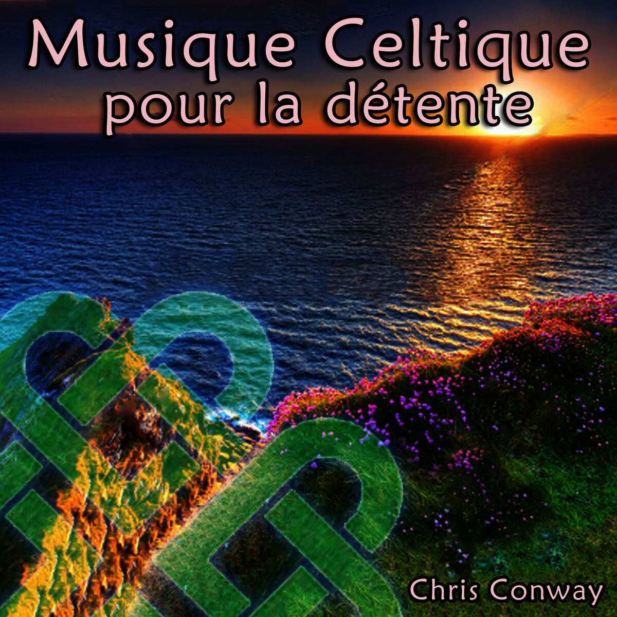 Album cover of Musique celtique pour la détente