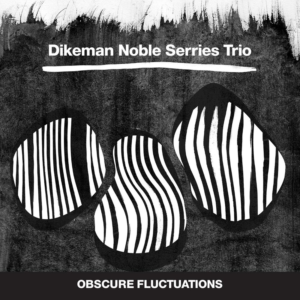 Picture of Obscure Fluctuations