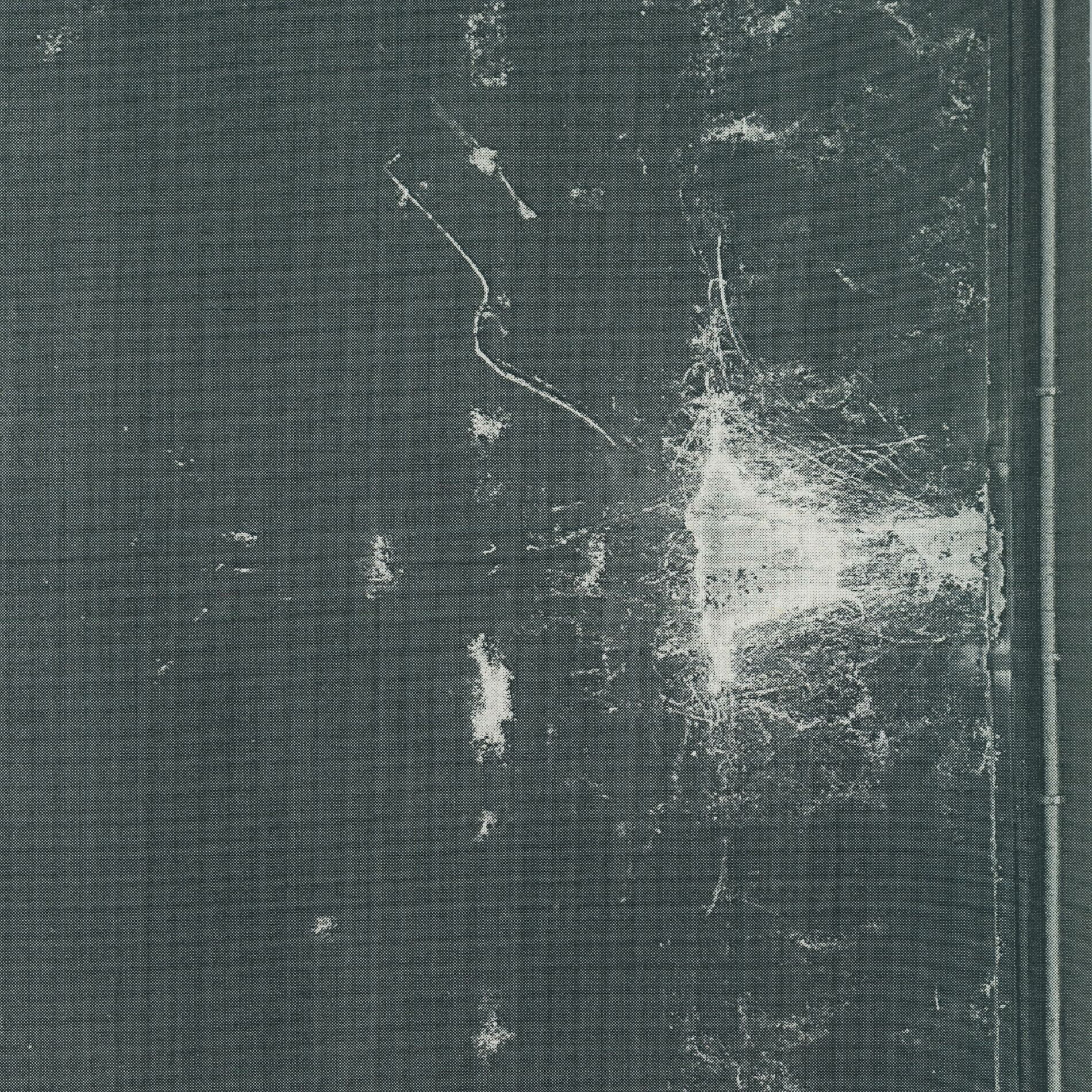 Album cover of Forest Drive
