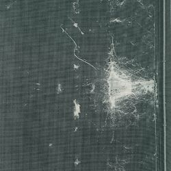 Cover of Forest Drive