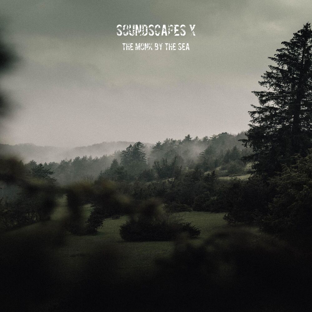 Picture of Soundscapes X