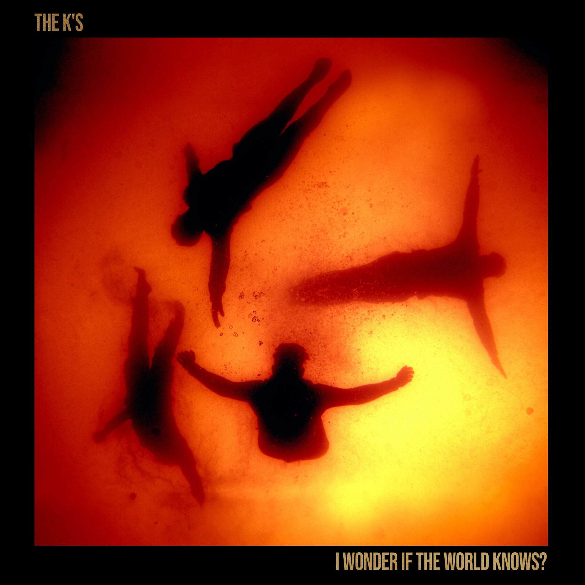 Album cover of I Wonder If The World Knows? (Deluxe Edition)