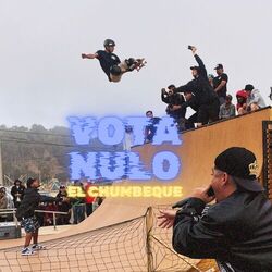 Cover of Vota Nulo